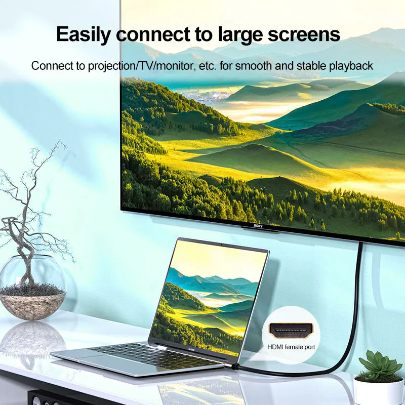 Supplier image showing HDMI cable connected from laptop to a large TV screen